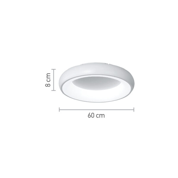 42020 A W DIM
